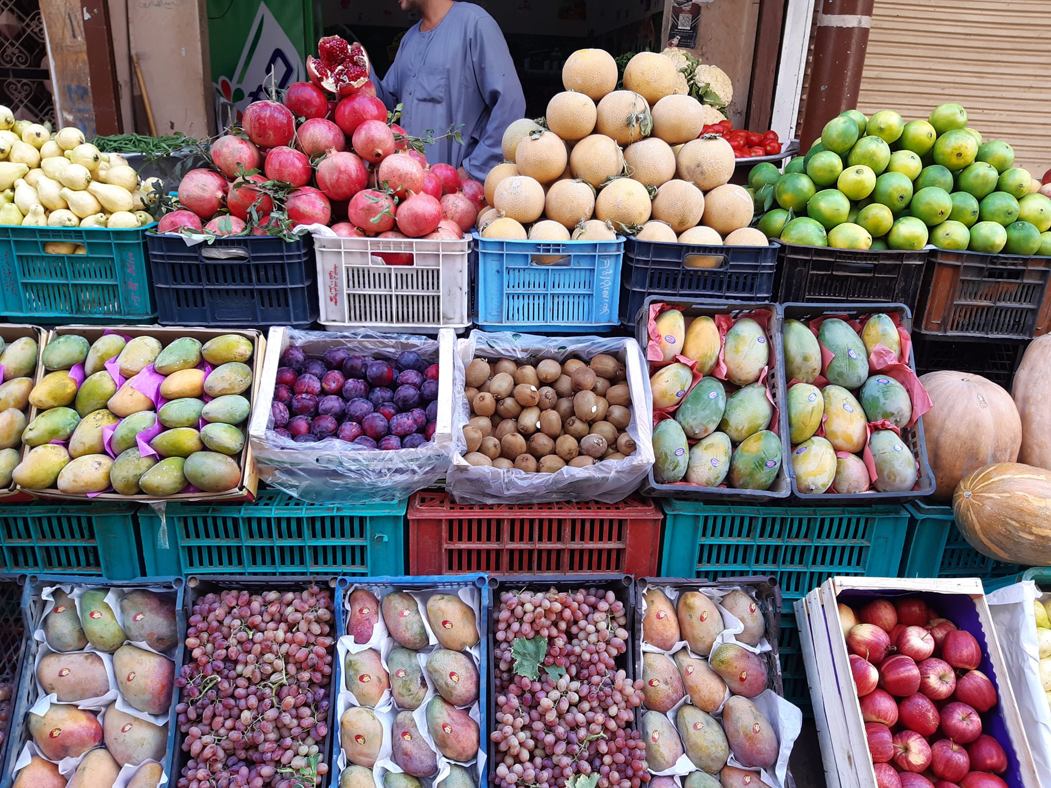 أسعار الخضار والفاكهة اليوم